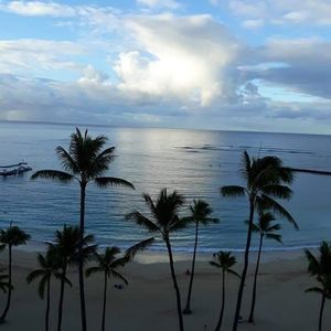 Meet your Posher, Ray